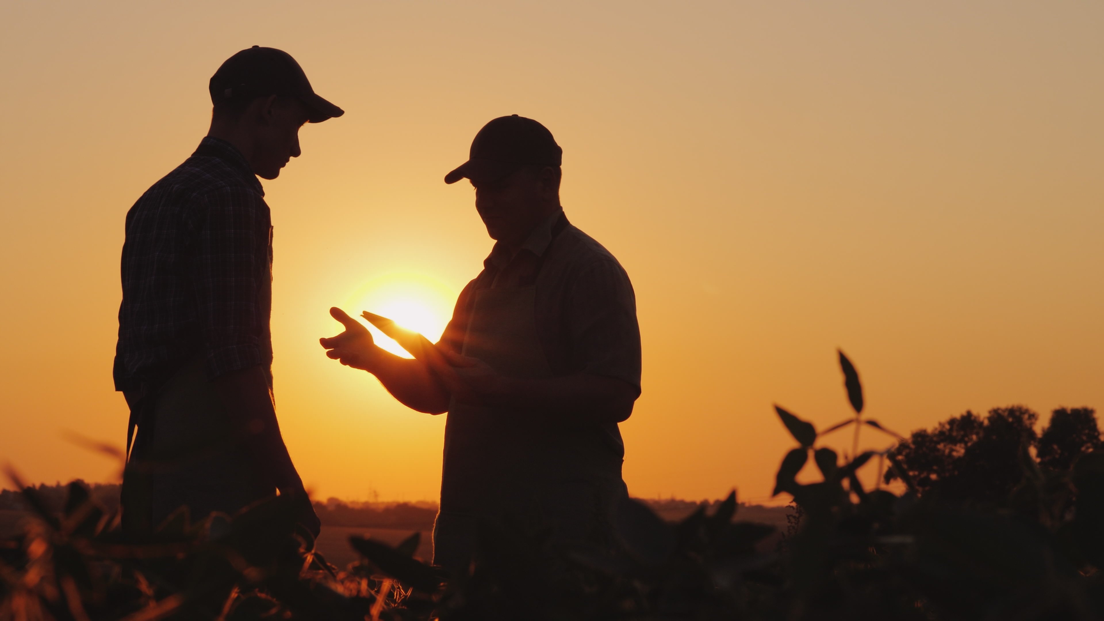 farmer-sunrise-sunset-field-male-man